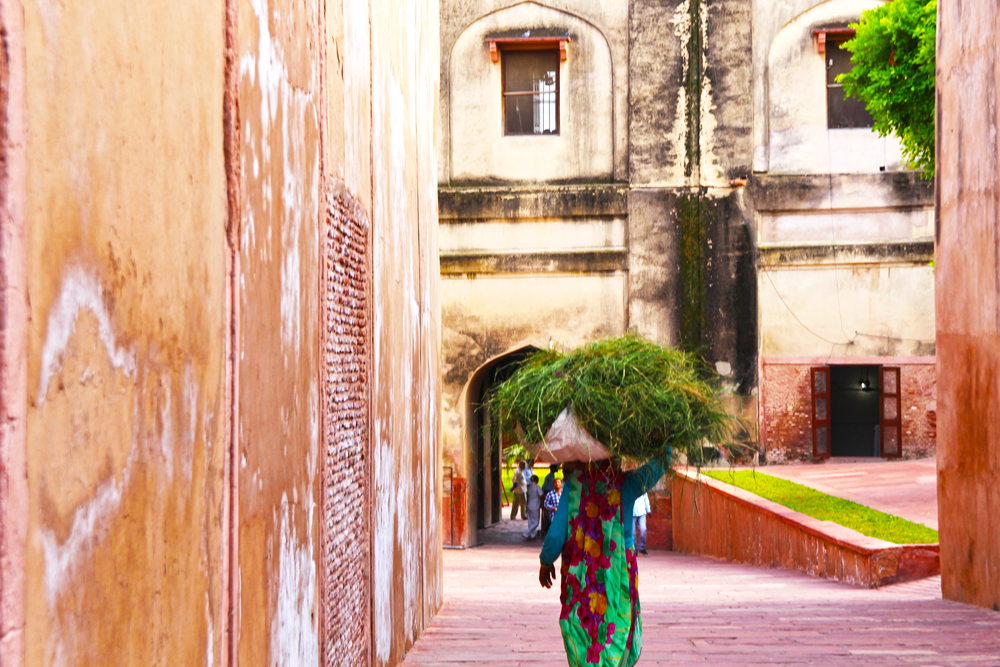 lady-at-agra-fort-carrying-grass-walk-india