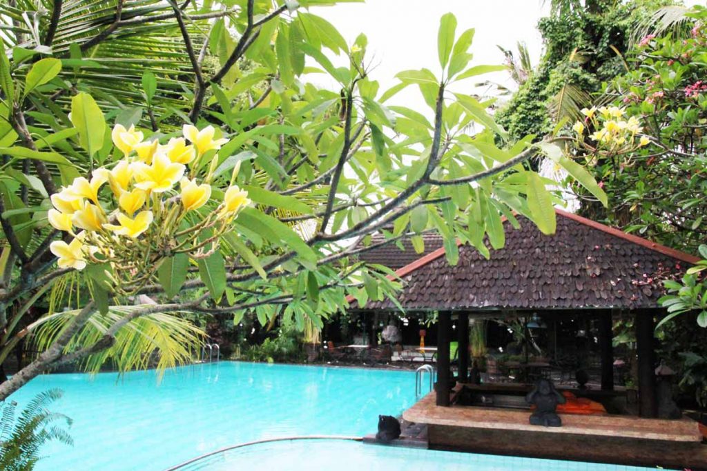 dusun-jogja-village-inn-swimming-pool-yellow-flower-yogyakarta-indonesia